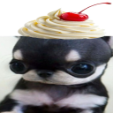 avatar gomyamicat家庭的な猫