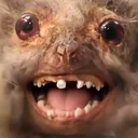𝙎𝙝𝙞𝙣
