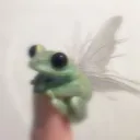 cosmicarmadillo