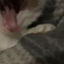 abrik_228
