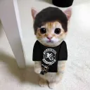 demaa