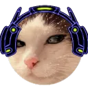 imnot_pandita avatar