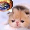 nosebro0422_81190 avatar