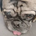 justarandomweirdo._39169 avatar