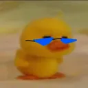 alphakennyduoc