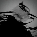 avatar 𝖒𝖎𝖓𝖊𝖎𝖗𝖔