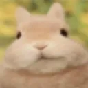 cammaybe