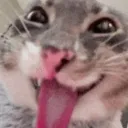 cristiani7j_03322 avatar