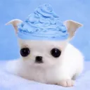kisakilvr