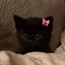 Аватар ki_lluaxx