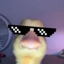 thedroza