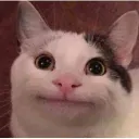 beluga_alt0