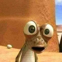 avatar timur kebarat