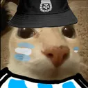 serpiwild