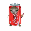 rawmeatissigma