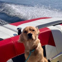 runnybean1 member profile picture