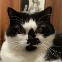 3infachmanu
