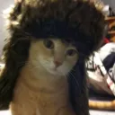 thewindows7user avatar