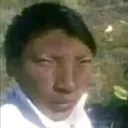 elpingondelperu_27630 avatar