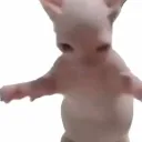 brxacc