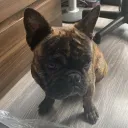 leonardo092589 avatar