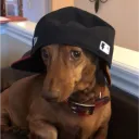 developersmith