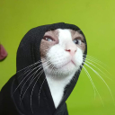 personapromedio88
