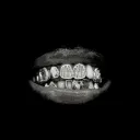 normalhumanshi avatar