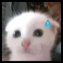 .z.e.n_
