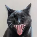demolius