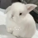 l0v1ng_st4r