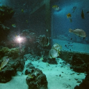 tdht8710337's Avatar