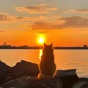 urfavoritepeople avatar