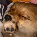 fan_sebasu7u7 avatar