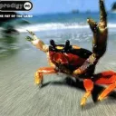 the_turtonator