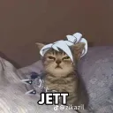 grrzybek_86693 avatar