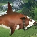megmoxoth_