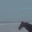 gallipoli0239