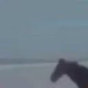 gallipoli0239