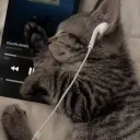 indefinerjks