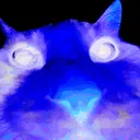 null52790