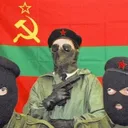 vityathecossack