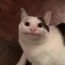 rip_nobody0503 avatar