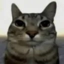 Kula's Avatar