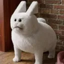 tvmangt