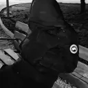 alejr07