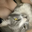 xeya_sia_26326 avatar