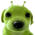 ddmankiller