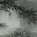 irenedialgo_5_72212 avatar