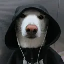 standoff2.ru